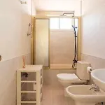 Atico Soho Maria Luisa * Malaga